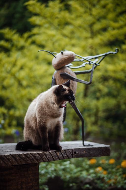 Appartamento Namelis Prie Magnolijos Druskininkai Esterno foto