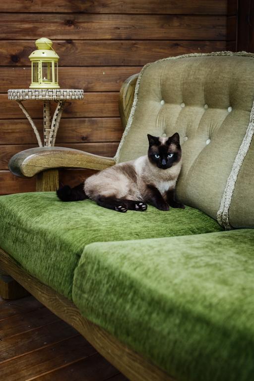 Appartamento Namelis Prie Magnolijos Druskininkai Esterno foto